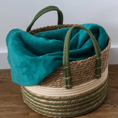 Apartment Kg Kragujevac